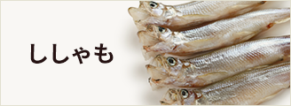 ししゃも